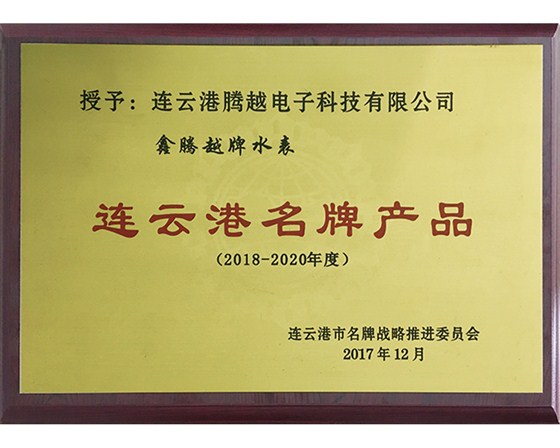 連云港名牌產品-鑫騰越水表